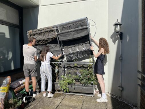 The picture shows three people placing the upper part of the BauGrünKit on the lower part. Both parts consist of a rectangular metal frame with textile plant pockets suspended between them.
